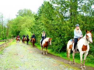 Group Trail Ride