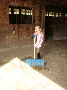 Clean barn 