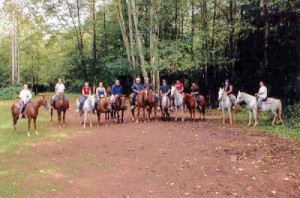 Trail Ride   