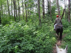 Trail Ride   